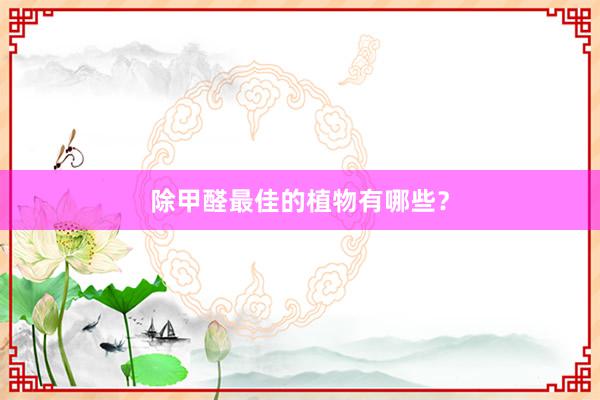 除甲醛最佳的植物有哪些？