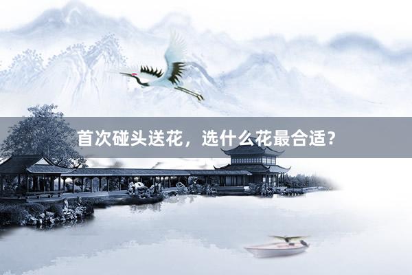 首次碰头送花，选什么花最合适？