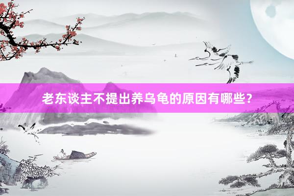 老东谈主不提出养乌龟的原因有哪些？